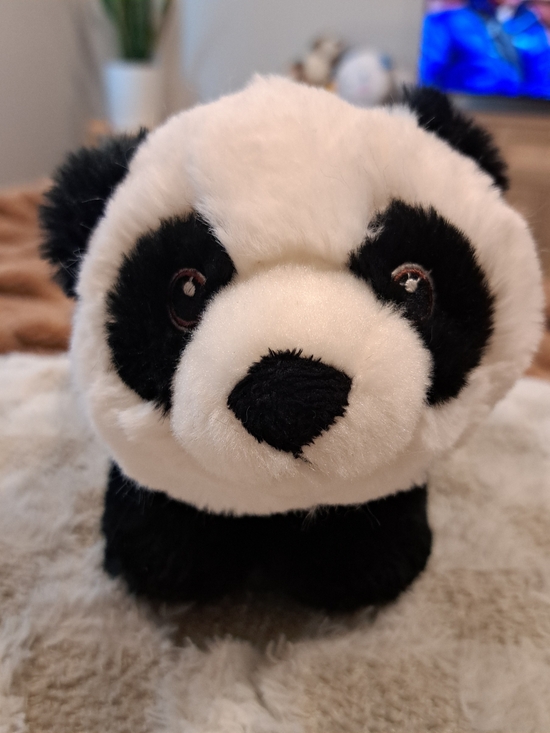 Aurora Other - Aurora Eco Nation 9" Panda plush toy